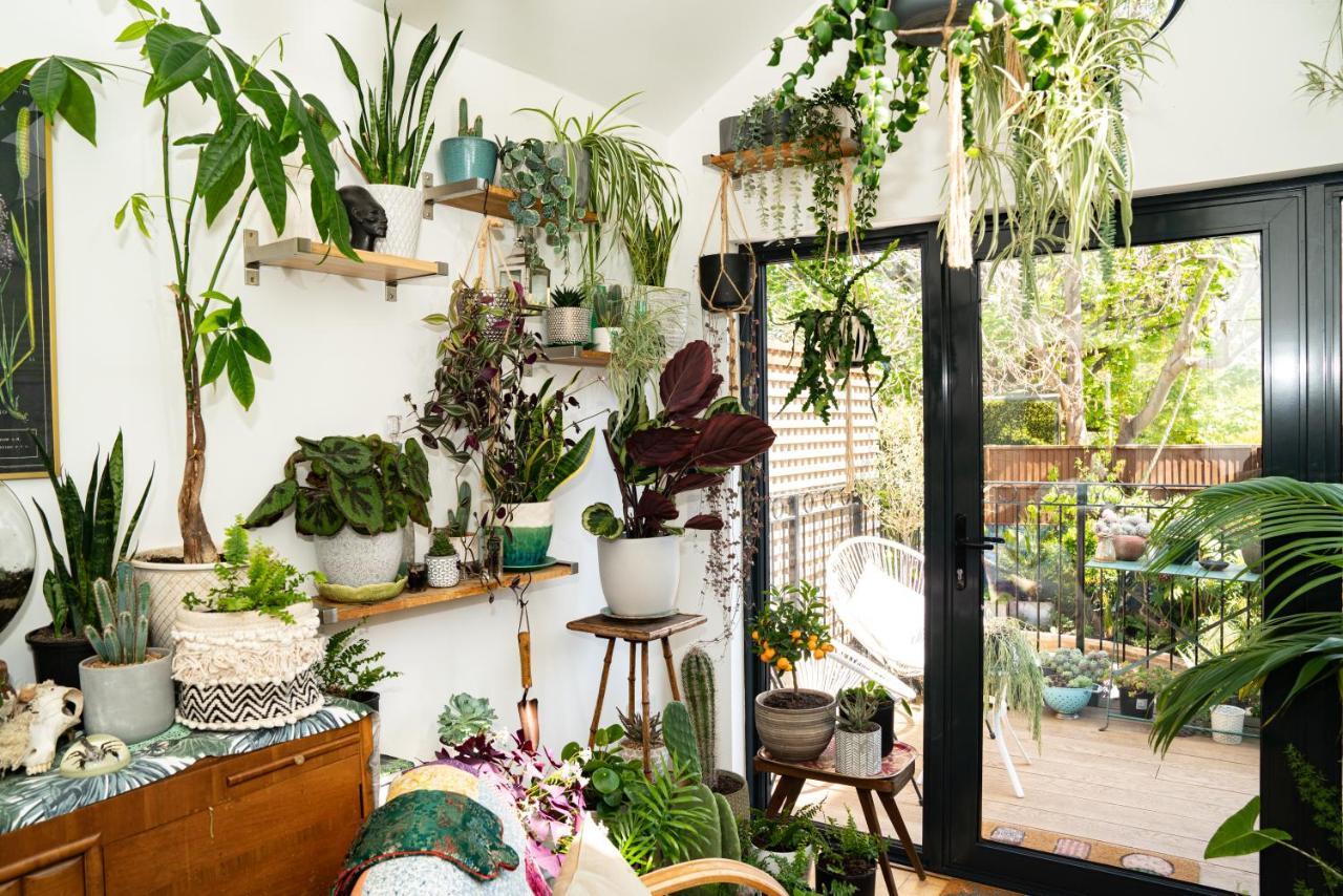 The Green House Портсмът Екстериор снимка