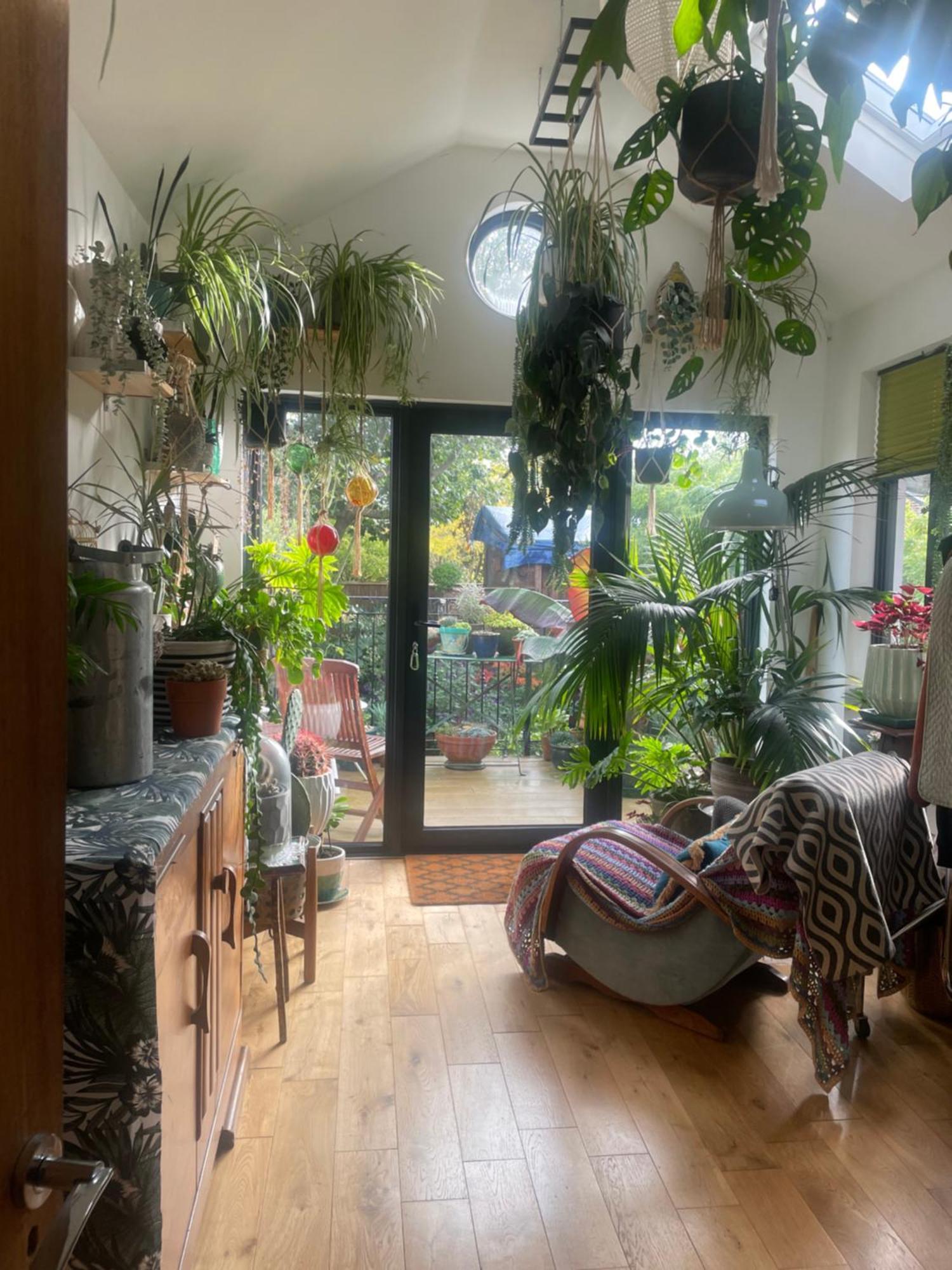 The Green House Портсмът Екстериор снимка